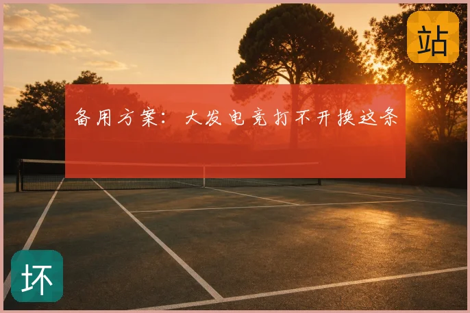 备用方案：大发电竞打不开换这条