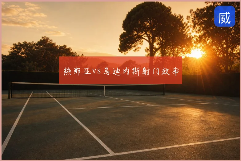 热那亚vs乌迪内斯射门效率